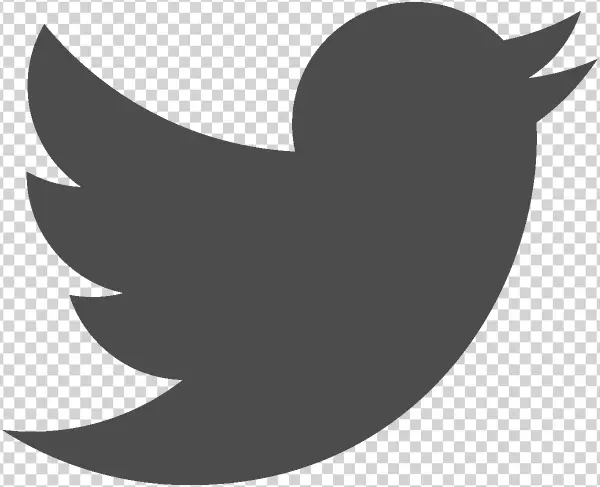 Twitter Logo Grey PNG Transparent Background