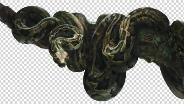 Realistic Snake on Branch PNG Transparent Background