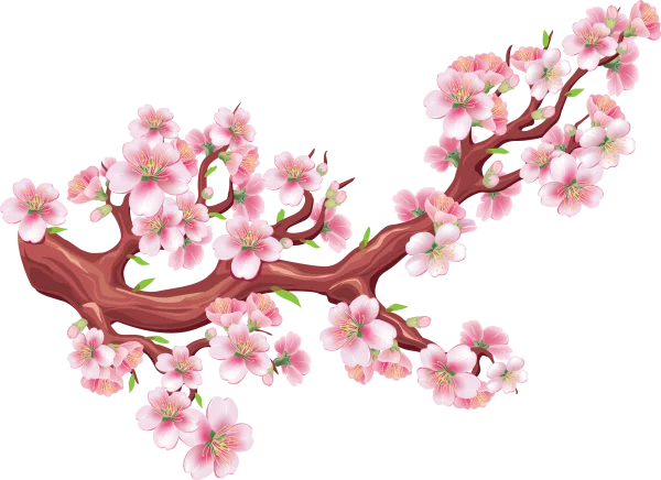 Cherry Blossom Branch Transparent PNG