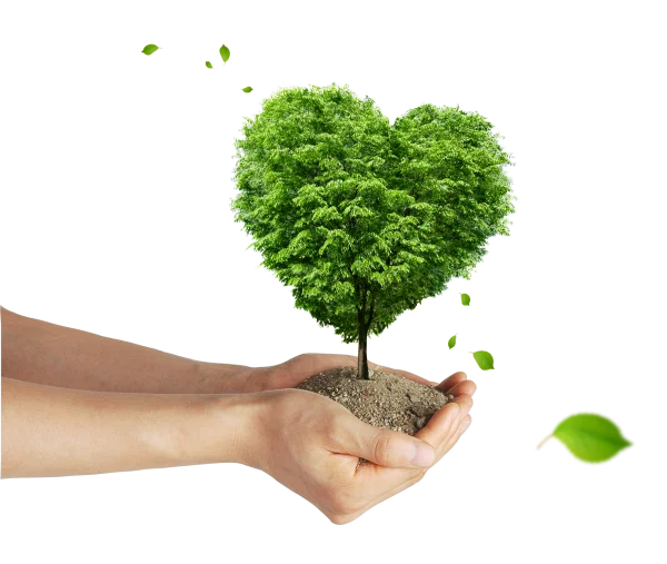 Heart Shaped Tree in Hands PNG Transparent