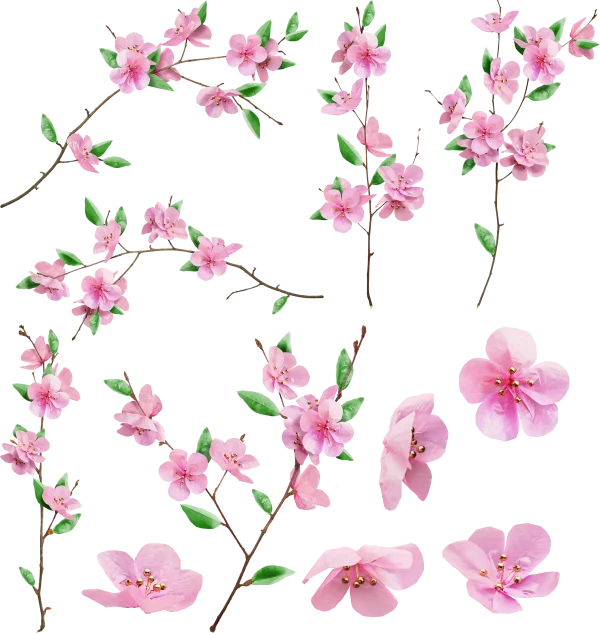 Pink Decorative Cherry Blossom Branches PNG