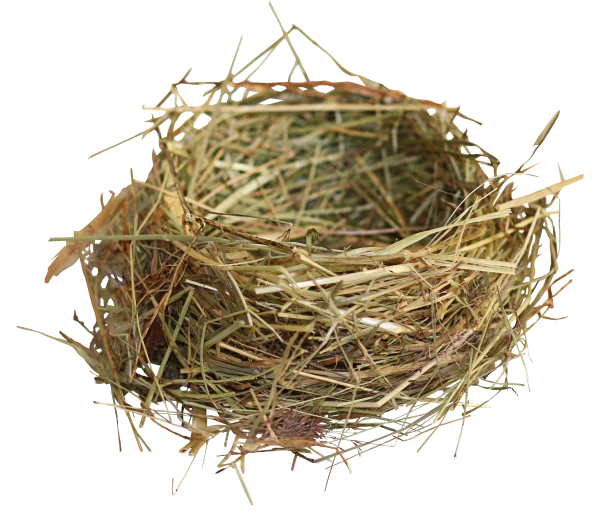 Bird's Nest PNG Transparent Background