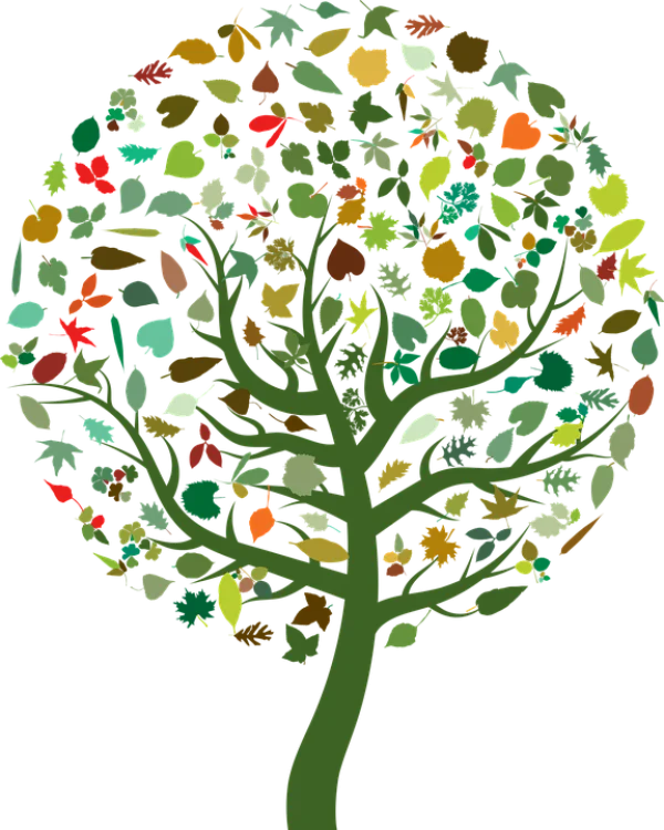 Artistic Tree of Leaves PNG Transparent