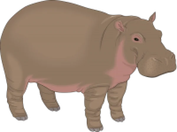 Cartoon Hippo PNG Transparent Background