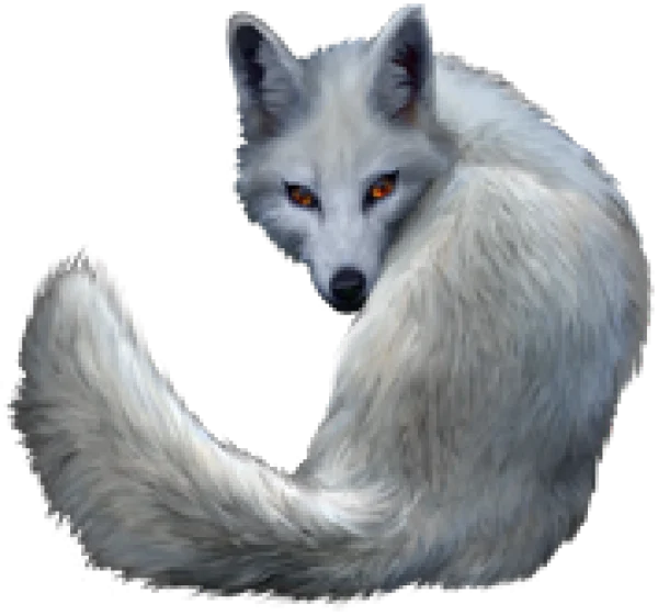 White Fox with Piercing Orange Eyes PNG