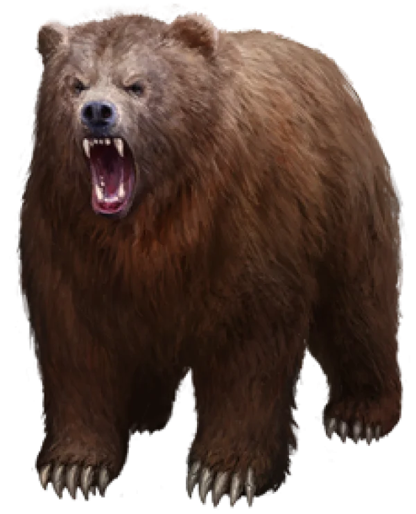 Fierce Brown Bear Roaring PNG Transparent Background