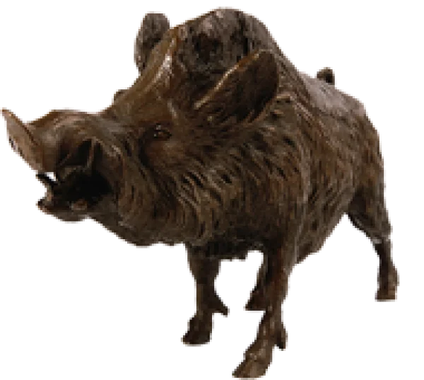 Fierce Wild Boar PNG Transparent Background