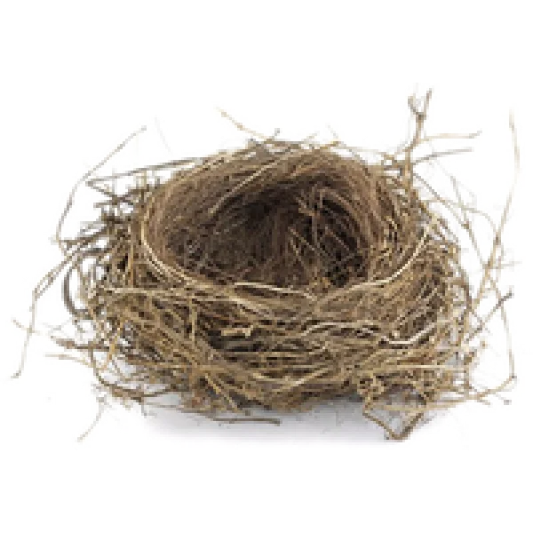 Empty Bird Nest PNG Transparent Background