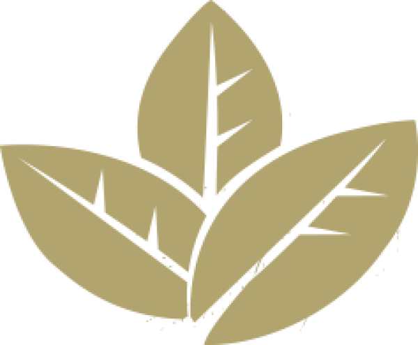 Khaki Gold Color Block PNG Transparent