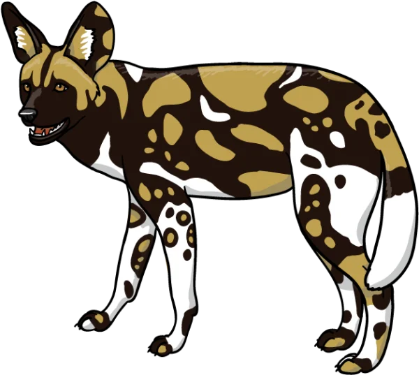 African Wild Dog Illustration PNG Transparent