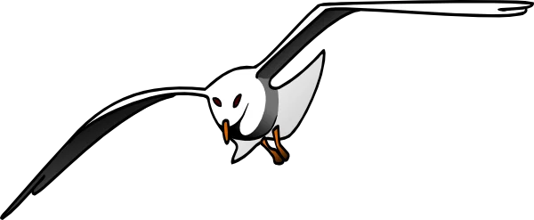 Cartoon Flying Seagull PNG Transparent Background