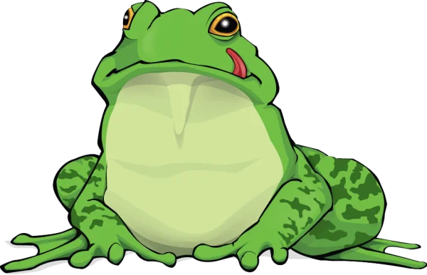 Green Cartoon Frog PNG Transparent Background