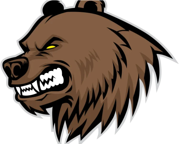 Angry Bear Mascot Head PNG Transparent Background