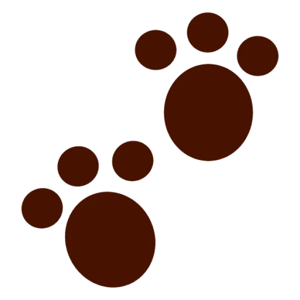 Brown Paw Prints PNG Transparent Background