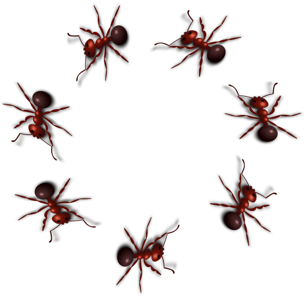 Red Ants Circle PNG Transparent Background