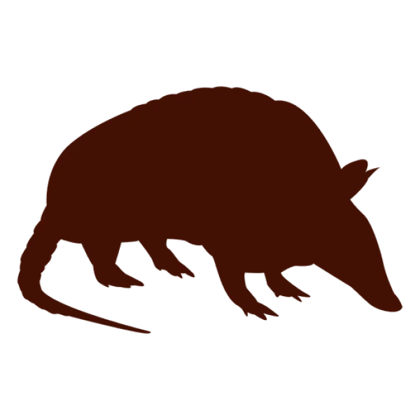 Brown Armadillo Silhouette PNG
