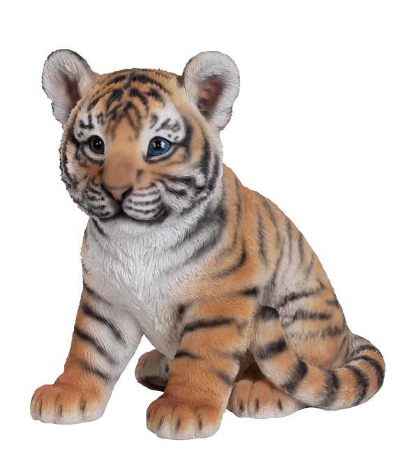 Cute Tiger Cub PNG Transparent Background