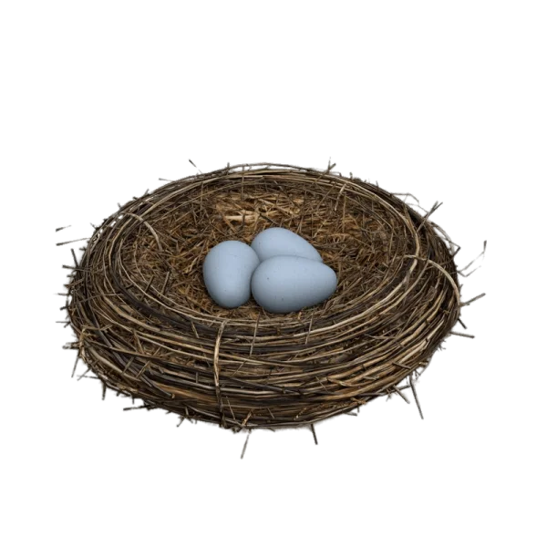 Bird's Nest with Blue Eggs PNG Transparent Background