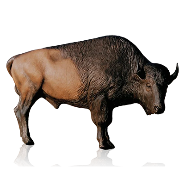 American Bison PNG Transparent Background