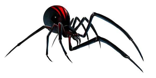 Black Widow Spider PNG Transparent Background