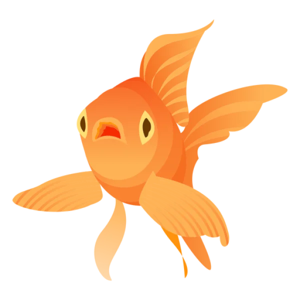Orange Goldfish PNG Transparent Background