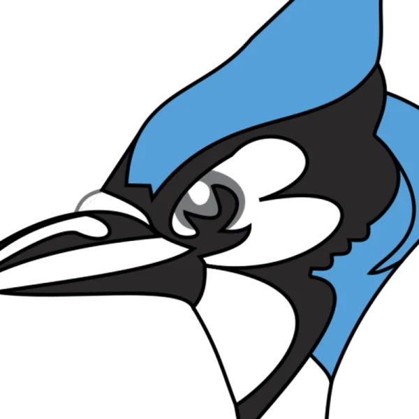 Blue Jay Head Logo PNG Transparent Background