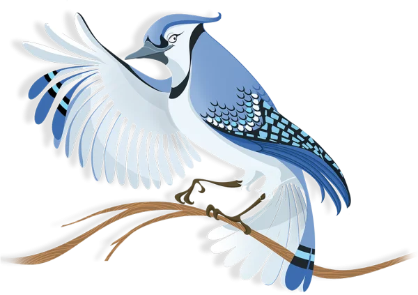 Stylized Blue Jay Bird on Branch PNG