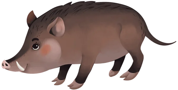 Cute Wild Boar Illustration PNG Transparent