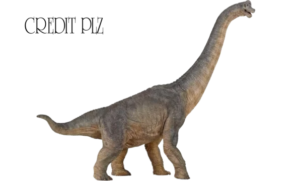 Brachiosaurus Dinosaur PNG Transparent Background