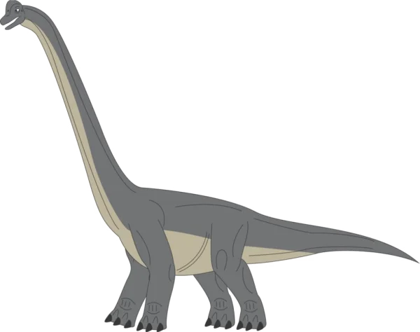 Brachiosaurus Dinosaur PNG Transparent Background