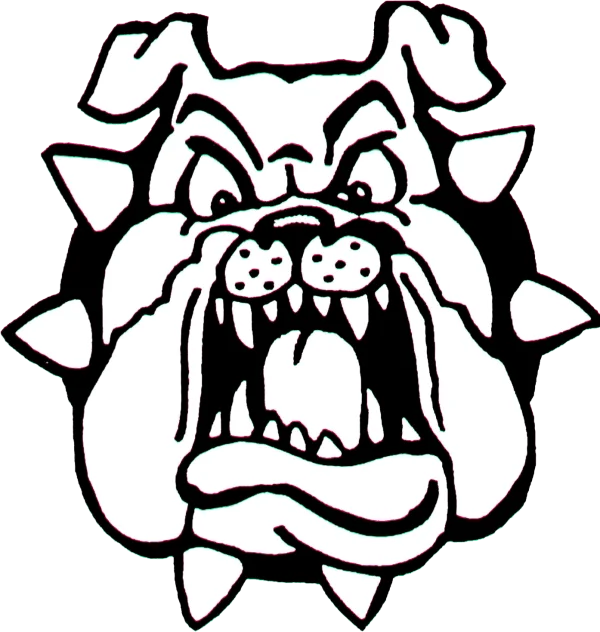 Angry Bulldog Mascot Head PNG Transparent Background