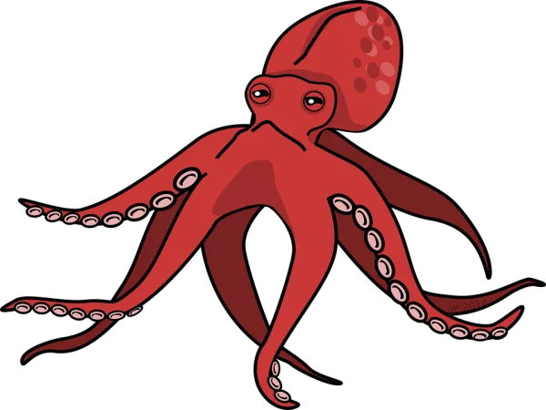 Red Octopus Illustration PNG Transparent Background