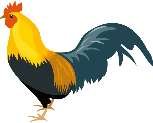 Cartoon Rooster PNG Transparent Background