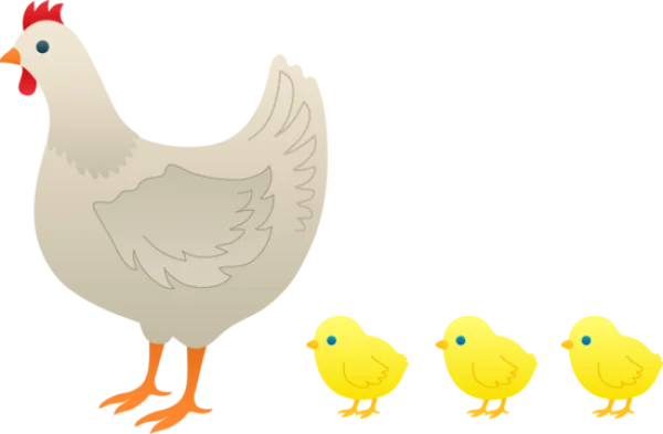 Mother Hen and Three Chicks PNG Transparent