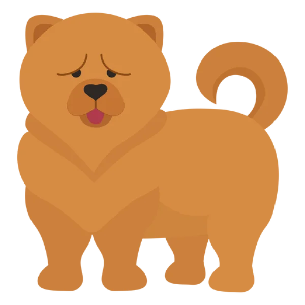 Cute Cartoon Chow Chow Dog PNG