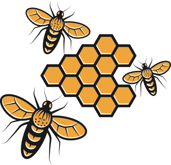 Bees and Honeycomb Transparent PNG