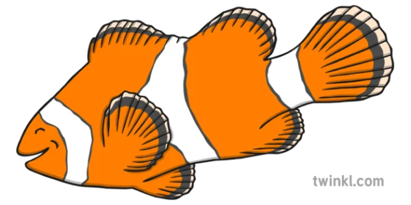 Cartoon Clownfish PNG Transparent Background