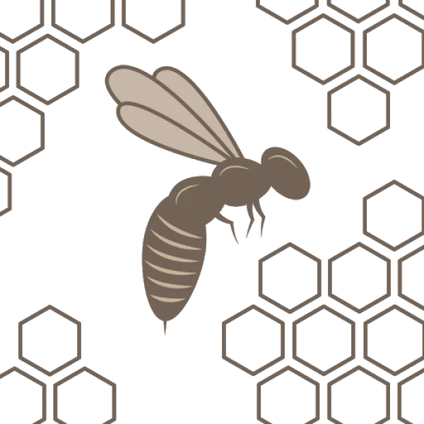 Stylized Honeybee and Honeycomb PNG