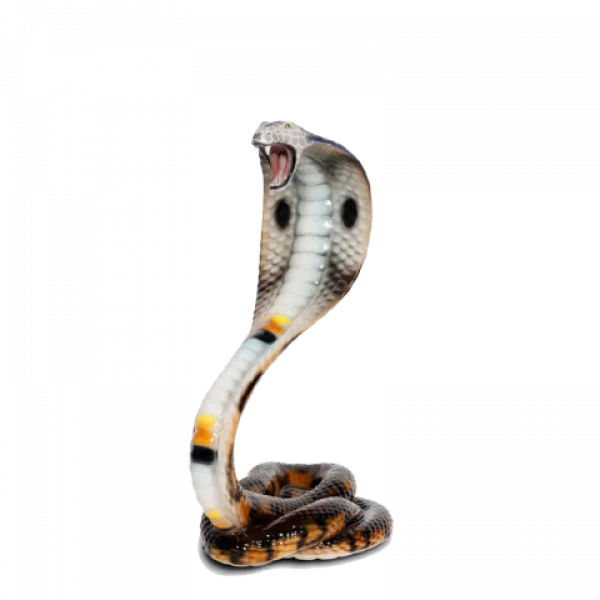 Realistic Cobra Snake PNG Transparent Background
