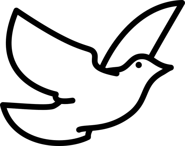 White Flying Dove Silhouette PNG