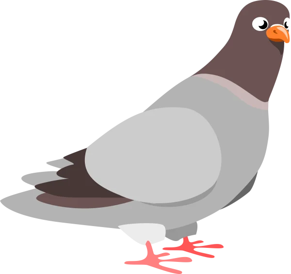 Cute Cartoon Pigeon PNG Transparent Background