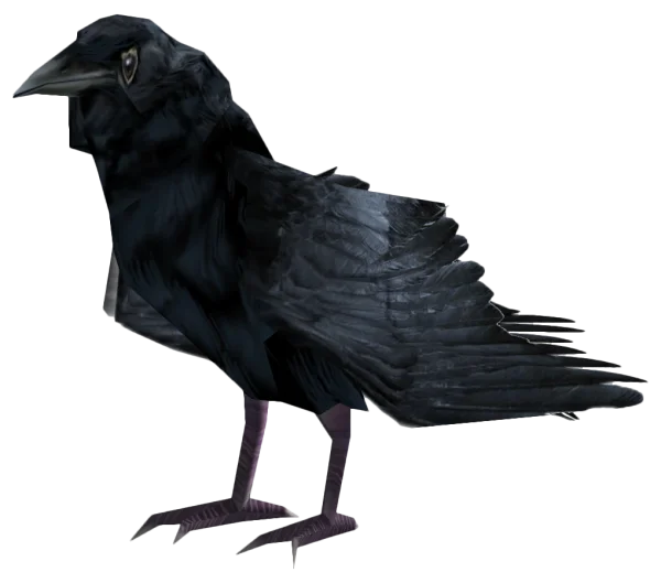 Black Crow PNG Transparent Background