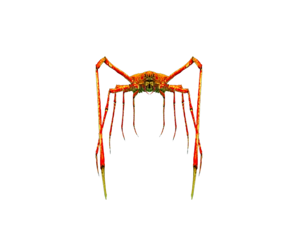 Japanese Spider Crab PNG Transparent Background