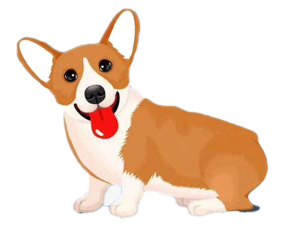 Cute Corgi Dog PNG Transparent Background