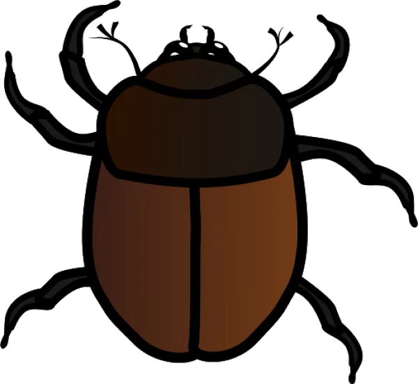 Cartoon Brown Beetle PNG Transparent Background