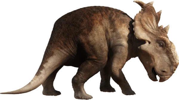 Pachyrhinosaurus Dinosaur PNG Transparent Background