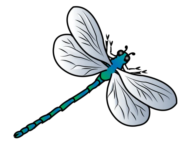 Stylized Blue Green Dragonfly PNG Transparent Background