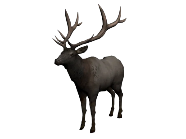 Realistic Elk with Large Antlers PNG Transparent