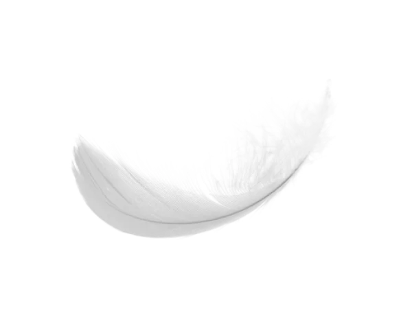 White Feather PNG Transparent Background