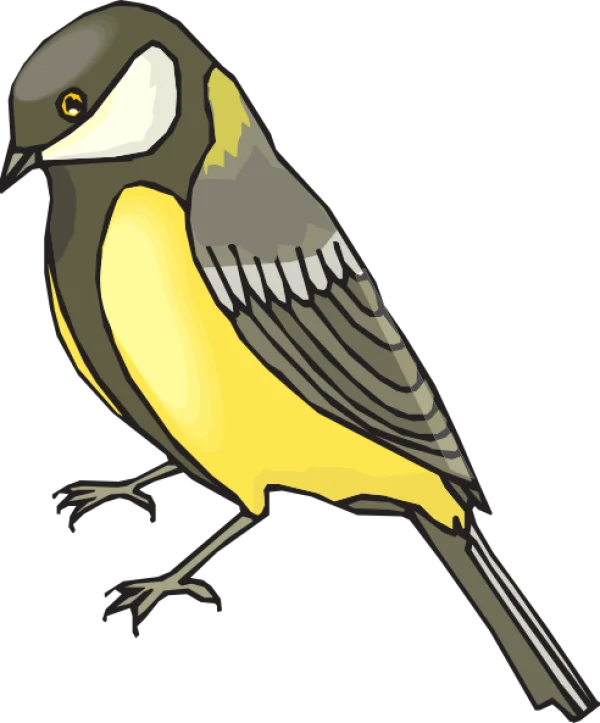 Cartoon Great Tit Bird PNG Transparent Background